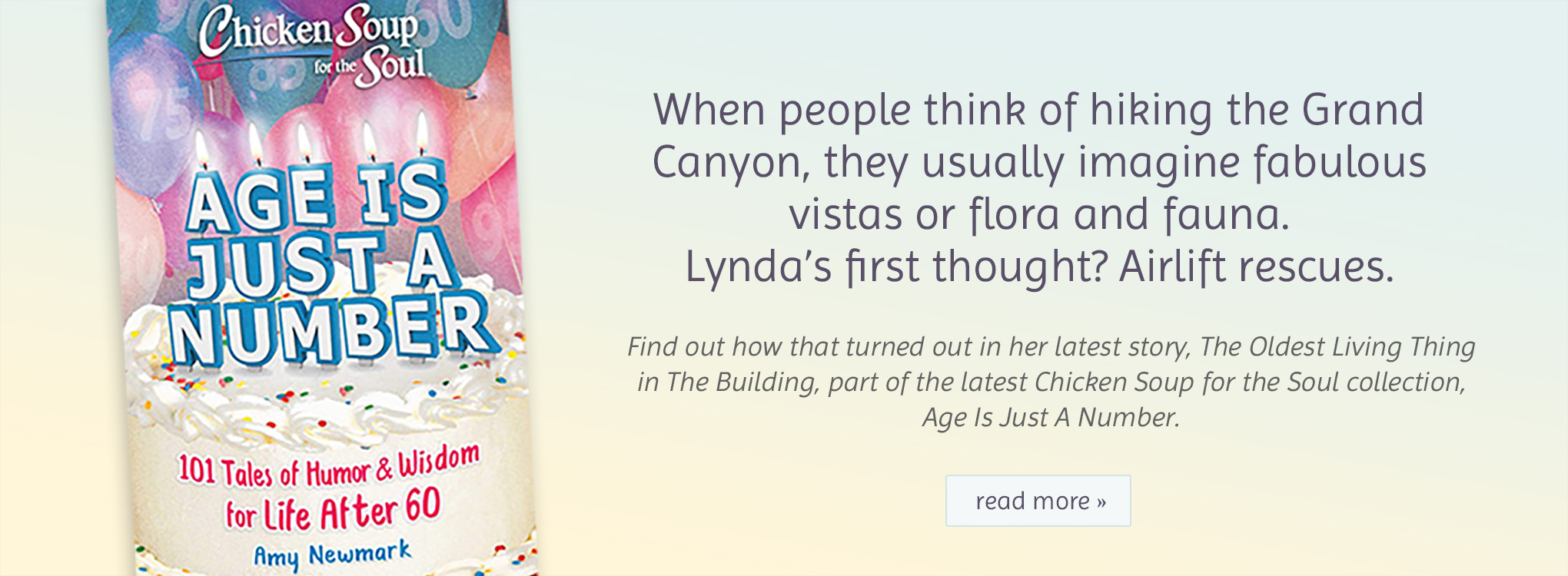 Chicken Soup for the Soul Age is Just a Number by Lynda Simmons Chicken Soup for the Soul Age is Just a Number by Lynda Simmons